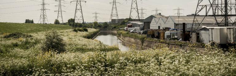 Lea valley